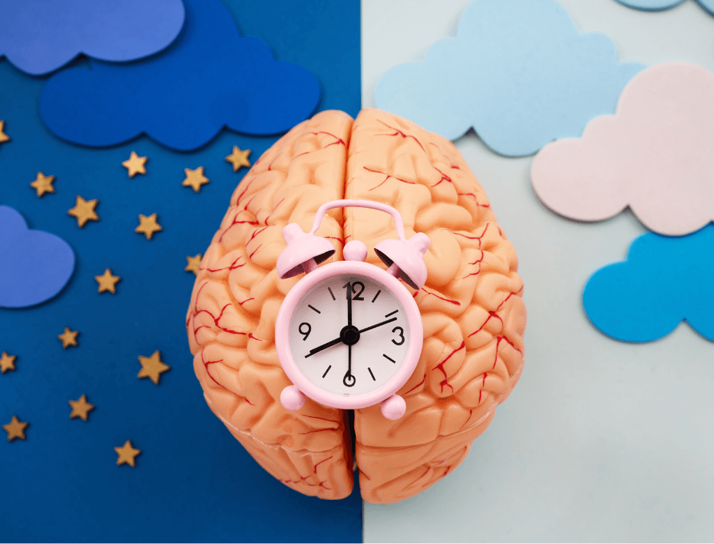 Le rythme circadien, quel impact sur notre santé ?